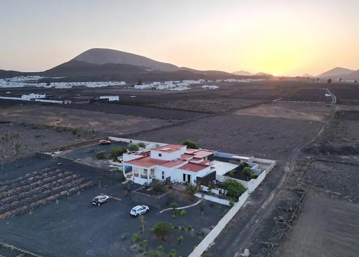 Aptos Nopal